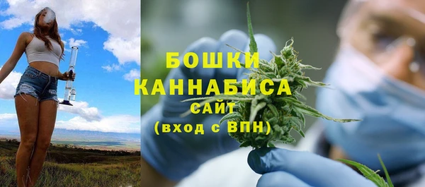 стафф Вязьма