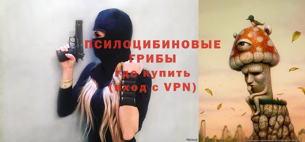 стафф Вязьма
