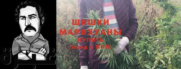 стафф Вязьма